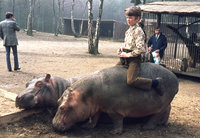 1971-3-Tüddern-Hippo.jpg (601.1 KiB) 74350-mal betrachtet 1971-3-Tüddern-Hippo.jpg