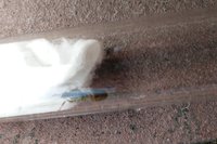 IMG_20160724_174044 cut.jpg