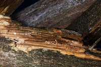 DSC01208.JPG