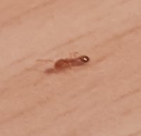 20171003_234925.jpg