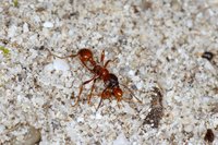 DSC08643a.jpg