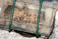 IMG_4963.jpg (580.4 KiB) 194291-mal betrachtet IMG_4963.jpg