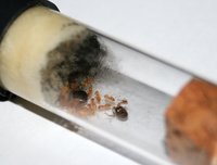 IMG_4964.jpg (309.69 KiB) 194297-mal betrachtet IMG_4964.jpg