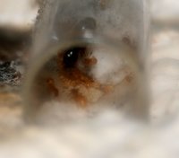 IMG_4965.jpg (201.7 KiB) 194293-mal betrachtet IMG_4965.jpg