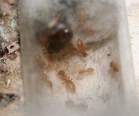 IMG_4966.jpg (158.67 KiB) 193261-mal betrachtet IMG_4966.jpg