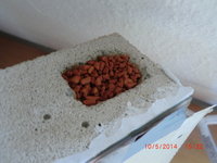 CIMG6902.JPG (663.62 KiB) 47297-mal betrachtet CIMG6902.JPG