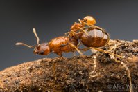 DXQGD8ZX4AEupvv.jpg large.jpg (124.87 KiB) 31571-mal betrachtet DXQGD8ZX4AEupvv.jpg large.jpg