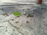 IMG-20180304-WA0012.jpg