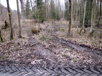 5-Holzernte-397.jpg (946.04 KiB) 96875-mal betrachtet 5-Holzernte-397.jpg