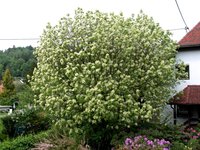 4a.jpg (443.48 KiB) 108188-mal betrachtet 4a.jpg