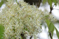 DSC01659.JPG (486.1 KiB) 109769-mal betrachtet DSC01659.JPG