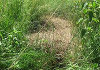 8-IMG_0498b.jpg (931.29 KiB) 109590-mal betrachtet 8-IMG_0498b.jpg