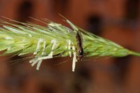 DSC01875.JPG (301.34 KiB) 15350-mal betrachtet DSC01875.JPG