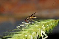 DSC01918.JPG (341.48 KiB) 15350-mal betrachtet DSC01918.JPG