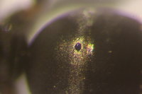 IMG_0092 Ameisenportal.JPG (369.38 KiB) 72550-mal betrachtet IMG_0092 Ameisenportal.JPG