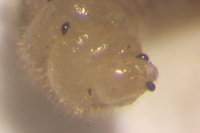 IMG_0271.JPG (372.31 KiB) 72545-mal betrachtet IMG_0271.JPG