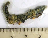 1-Rätsel_0837.jpg (757.93 KiB) 90300-mal betrachtet 1-Rätsel_0837.jpg