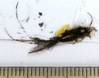 2-Rätsel_0838.jpg (750.08 KiB) 89990-mal betrachtet 2-Rätsel_0838.jpg