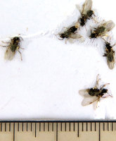 4-Rätsel_0840.jpg (574.8 KiB) 89999-mal betrachtet 4-Rätsel_0840.jpg