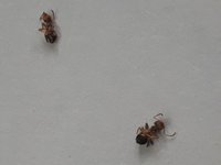20180813_174825 (Mittel).jpg