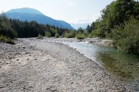 _MG_9728a.jpg (949.48 KiB) 21837-mal betrachtet _MG_9728a.jpg