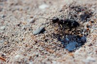 _MG_9731.JPG (476.06 KiB) 21837-mal betrachtet _MG_9731.JPG