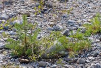 _MG_9734.JPG (959.14 KiB) 21841-mal betrachtet _MG_9734.JPG