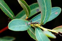 _MG_9738.JPG (309.86 KiB) 21841-mal betrachtet _MG_9738.JPG