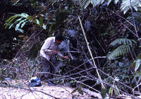 1-Dolich.Film.Fangen-120.jpg (976.42 KiB) 136235-mal betrachtet 1-Dolich.Film.Fangen-120.jpg