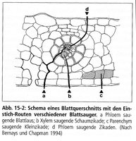 Stichkanäle-135.jpg (188.97 KiB) 97816-mal betrachtet Stichkanäle-135.jpg